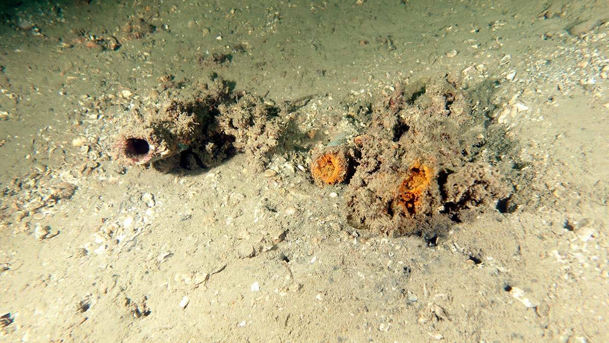 Müsilajda uyarı: En büyük sorun balıkçılıkla ilgili