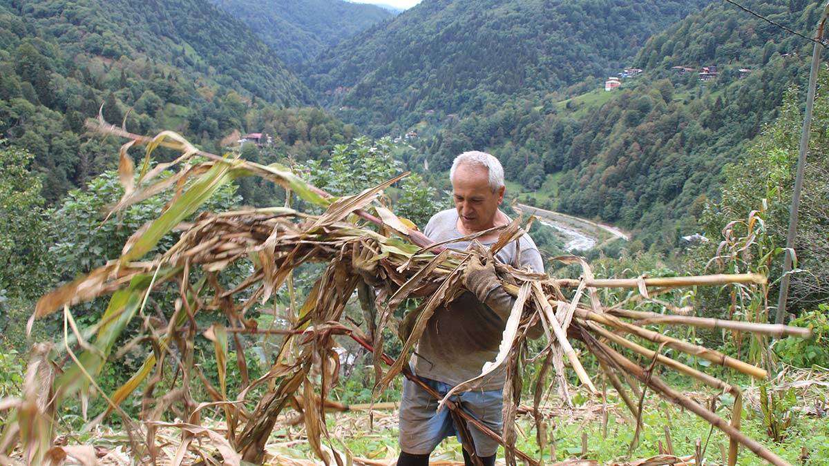 Myanmar'a dönemeyen büyükelçiden heyelan önlemi
