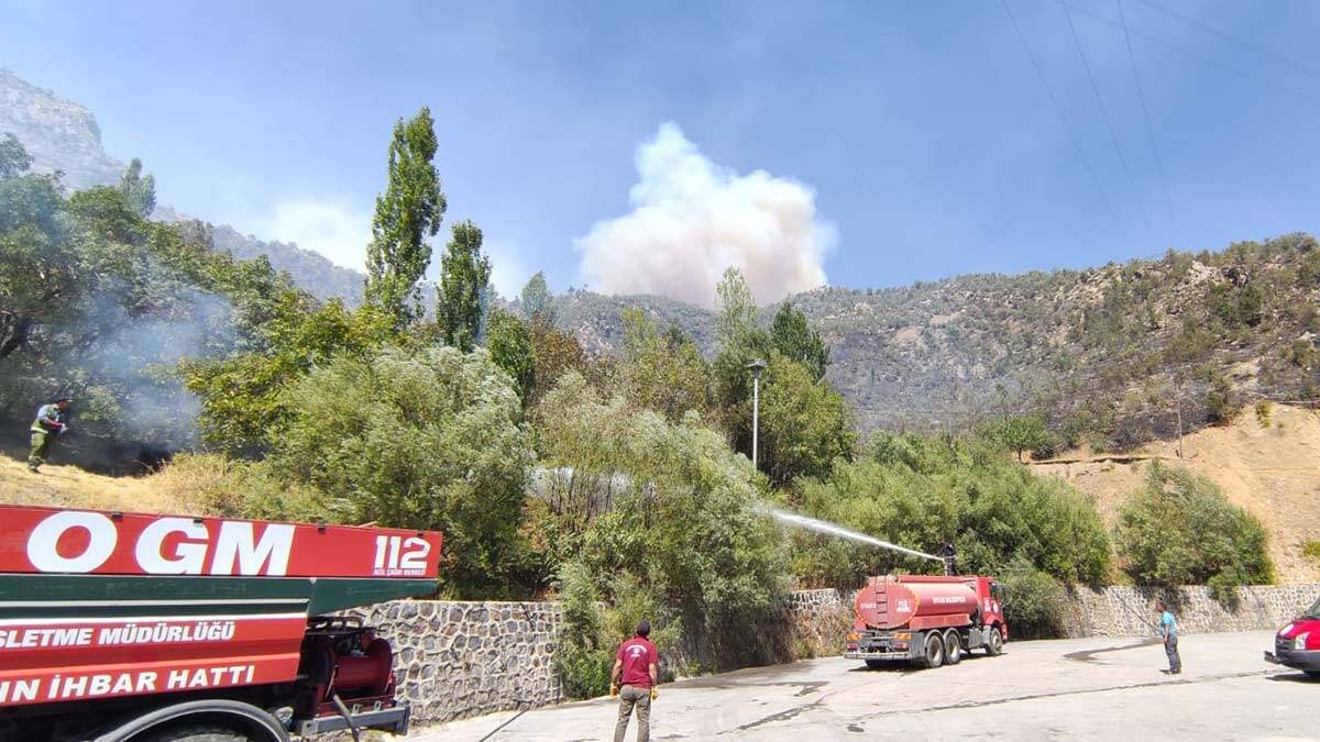 OGM: 9 ildeki tüm yangınlar söndürüldü