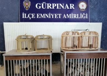 Pitbull saldırısında 4 kişiye 28 bin lira ceza