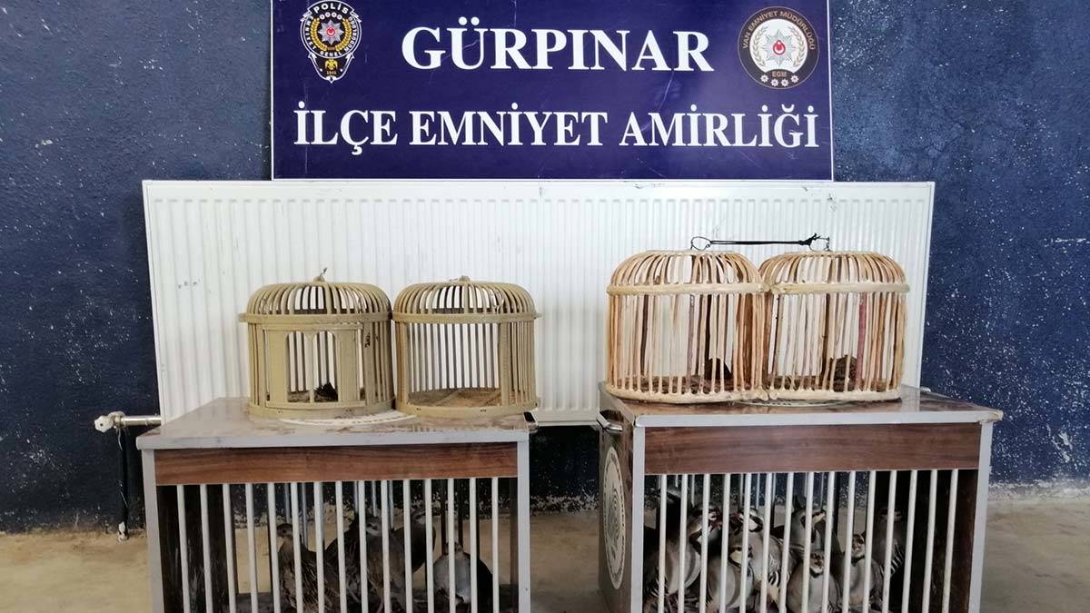 Pitbull saldırısında 4 kişiye 28 bin lira ceza