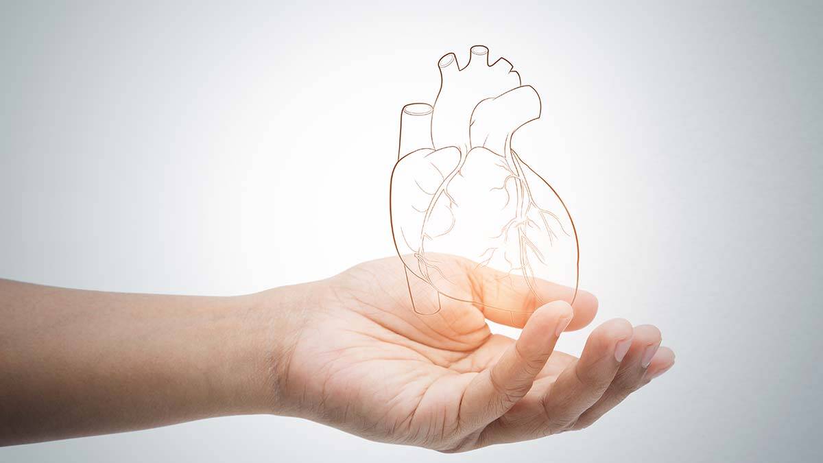 Prof. Dr. Başer kalp sağlığı için uyarılarda bulundu