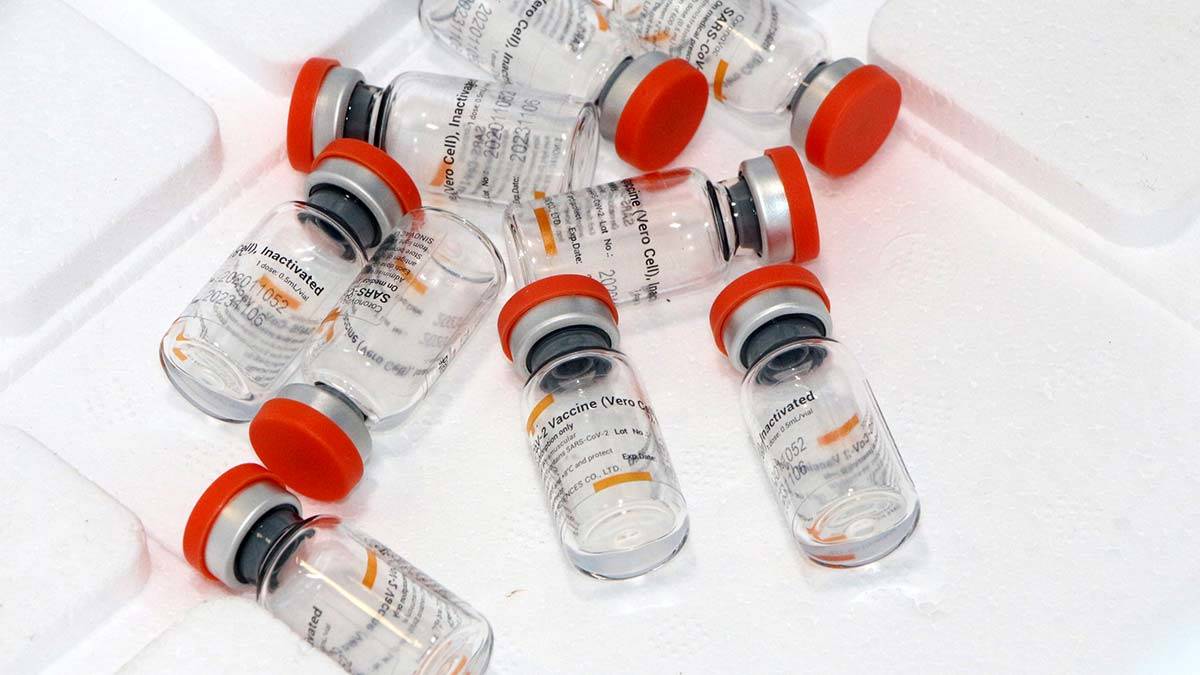 Prof. Dr. Gündüz: Aşılama 2023'e kadar kaçınılmaz