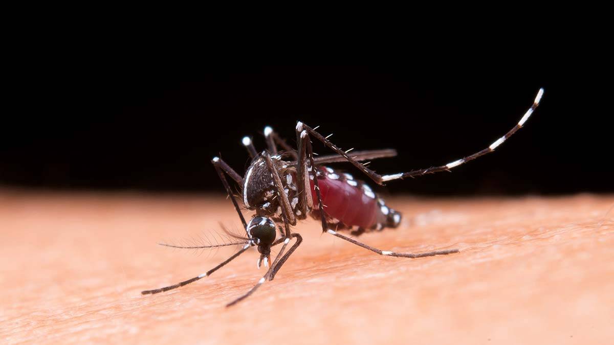 Prof. Dr. Yaprak: Hastalık bulaştırma riski devam ediyor