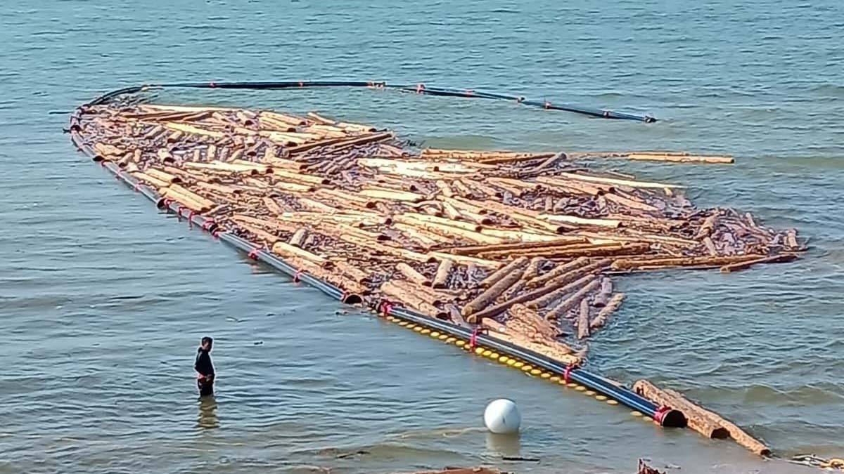 Sel sonrası denize sürüklenen tomruklar toplandı