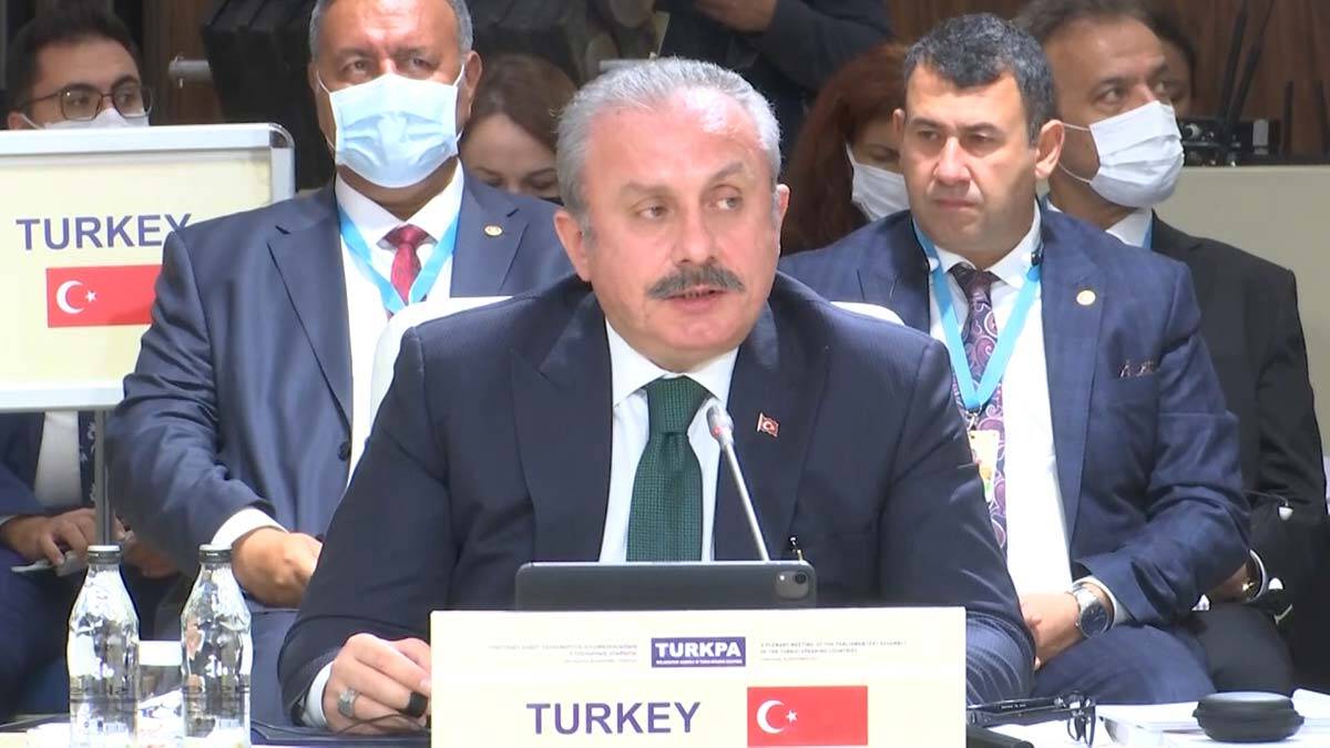 Şentop: FETÖ kardeş ülkelerde milli güvenlik tehdidi