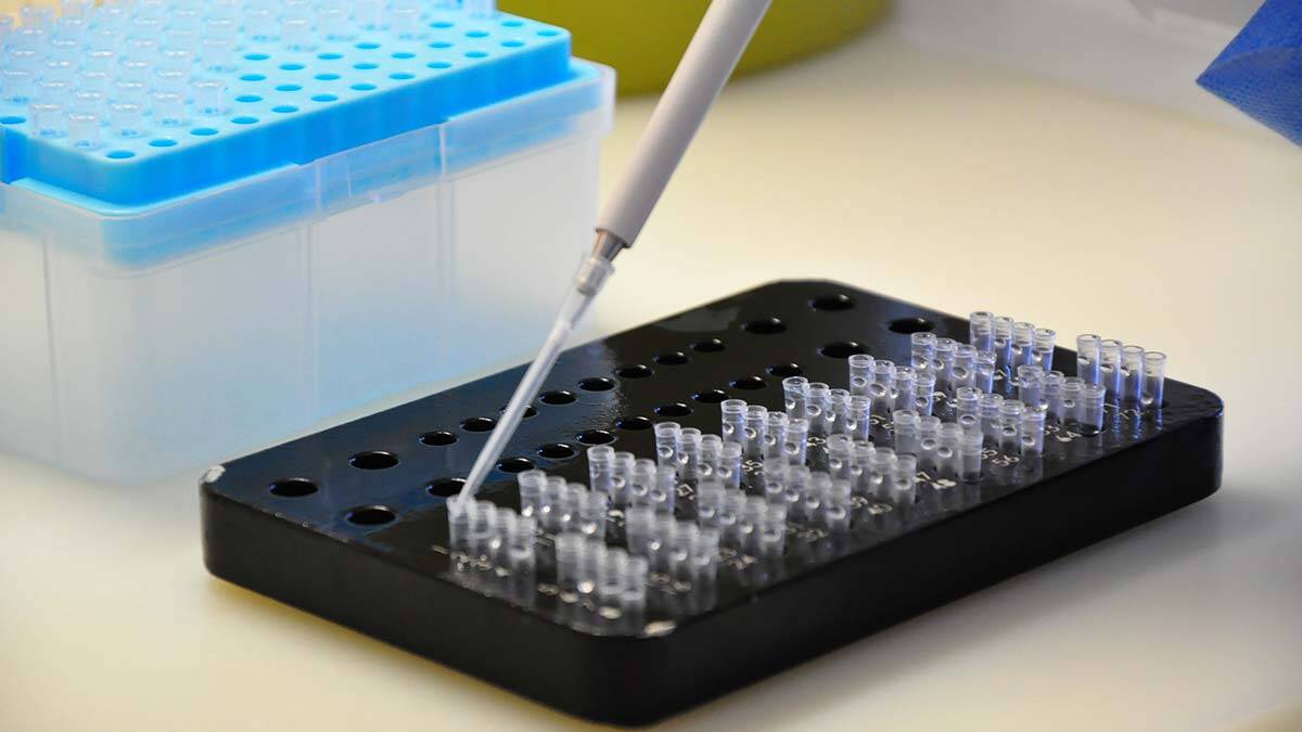 Sinovac ve Biontech karşılaştırıldı: 3'ncü doz yerinde