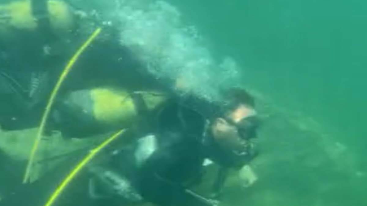 TBMM Müsilaj Araştırma Komisyonu üyeleri dalış yaptı