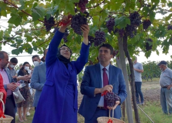 Tekirdağ'da bağ bozumu etkinliği düzenlendi