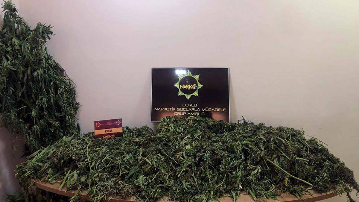 Tekirdağ'da çiftlik operasyonu: 2 kişi tutuklandı