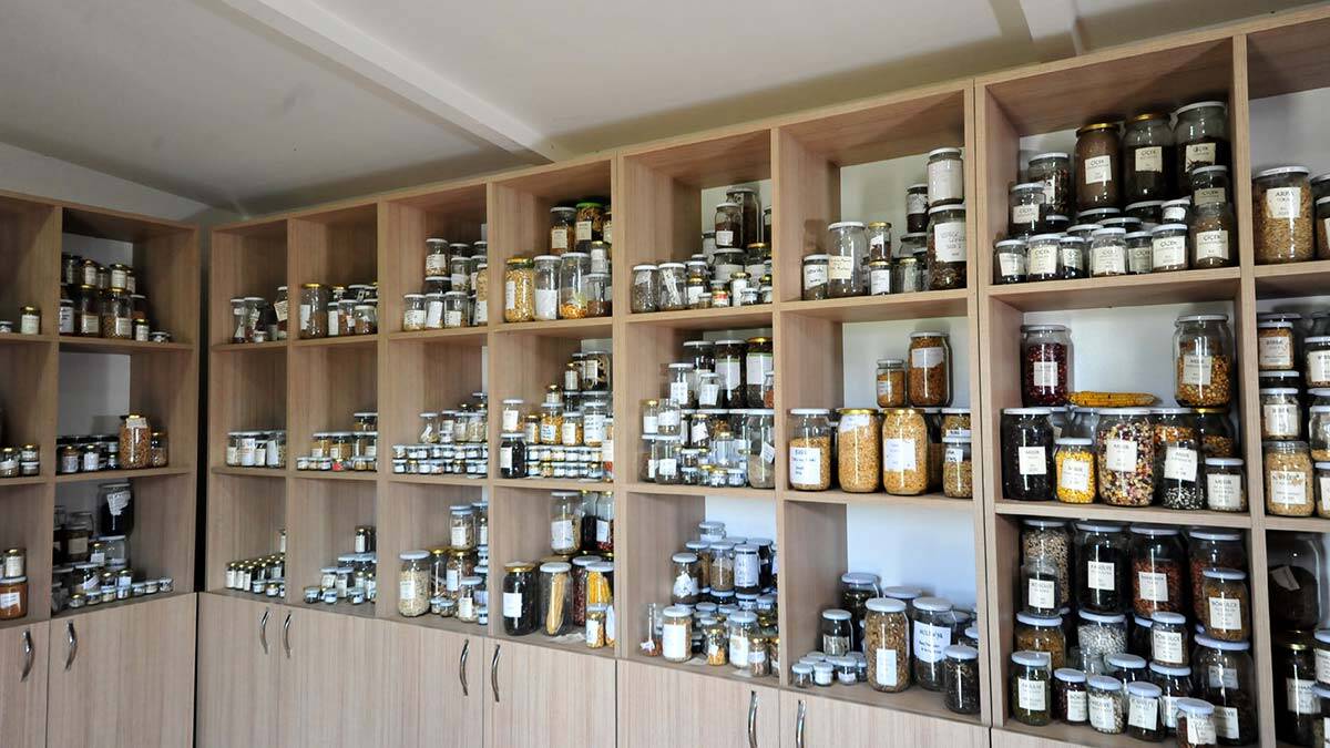 Tohum Kütüphanesi'nde 600 çeşit tohum depolandı