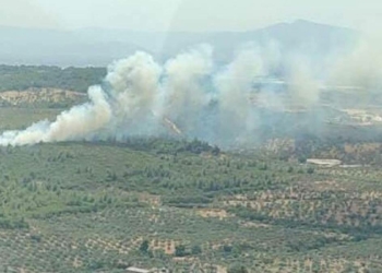 Torbalı'da makilik alanda yangın çıktı