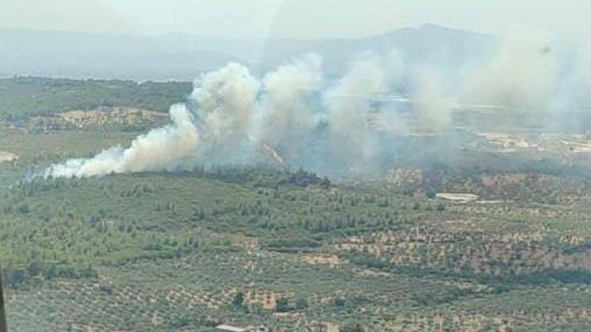 Torbalı'da makilik alanda yangın çıktı