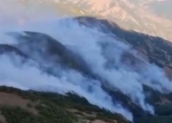 Tunceli'deki örtü yangını kısmen kontrol altında