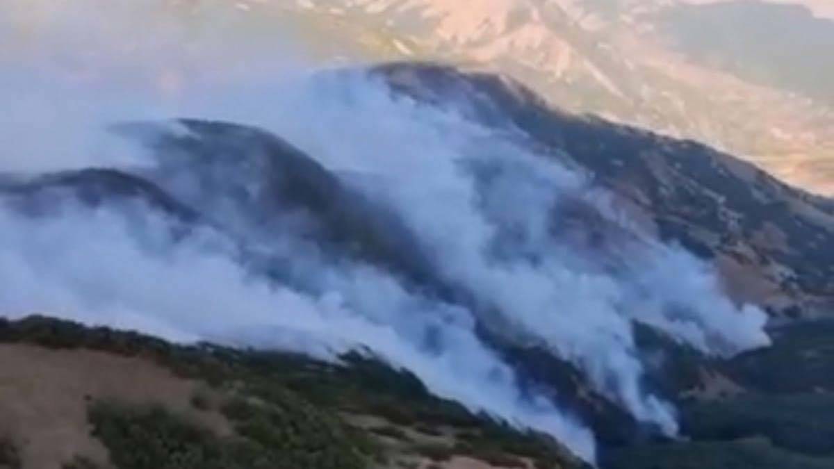 Tunceli'deki örtü yangını kısmen kontrol altında