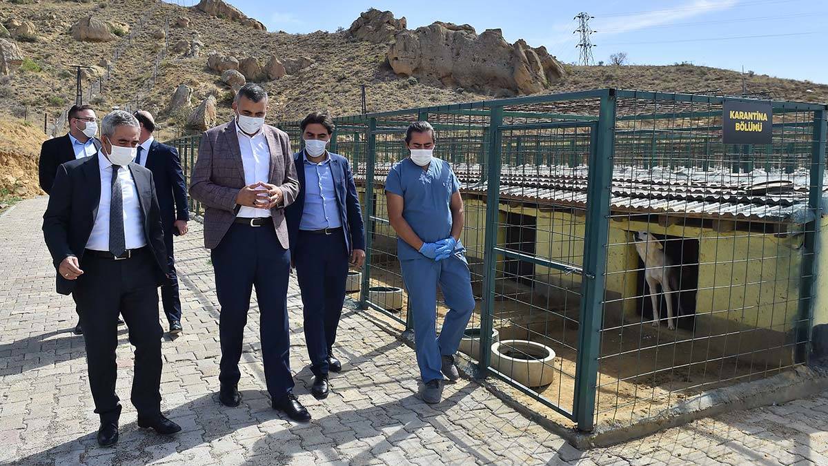 Ankara Büyükşehir Belediyesi, gönüllü hayvanseverlerle olduğu kadar ilçe belediyeleriyle de iş birliği yaparak sokak hayvanlarının sağlığını korumaya öncelik veriyor.