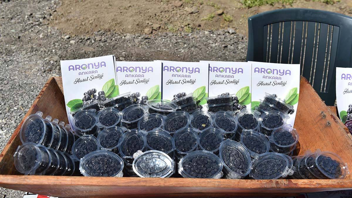 Büyükşehir'den ‘Aronia Meyvesi’ için destek