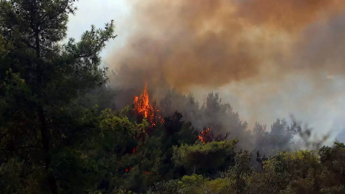 Ypg/pkk'lı terörist orman yangınını itiraf etti