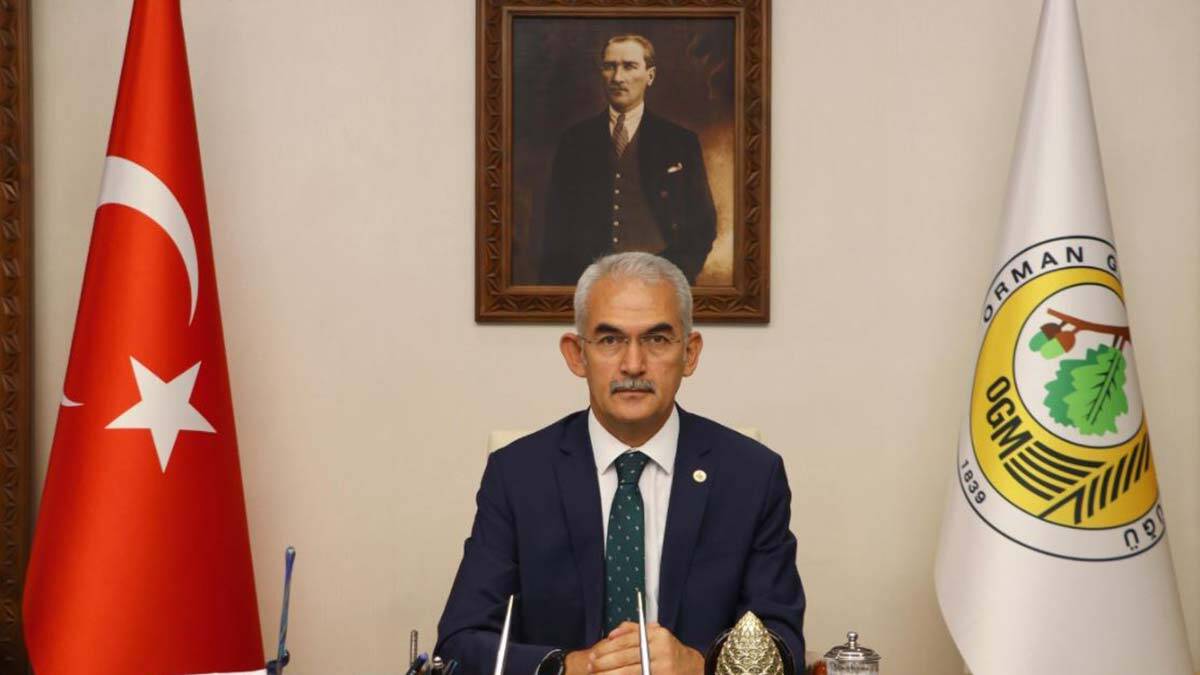 Yanan alanlarda ağaçlandırma sonbaharda başlıyor