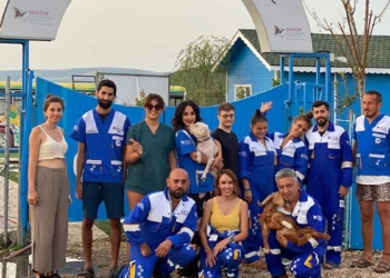 Yangından kurtarılan hayvanlar yeni yuvalarına geldi