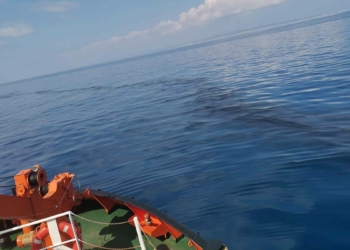 Akdeniz'deki petrol sızıntısına çift gemiyle tarama