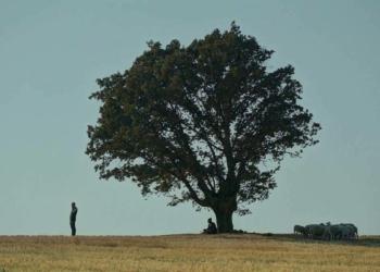 Altın Portakal Film Festivali Ulusal Yarışma Filmleri belli oldu