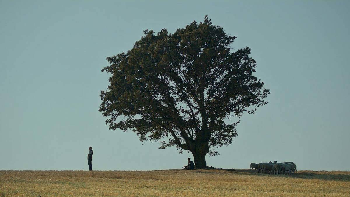 Altın Portakal Film Festivali Ulusal Yarışma Filmleri belli oldu