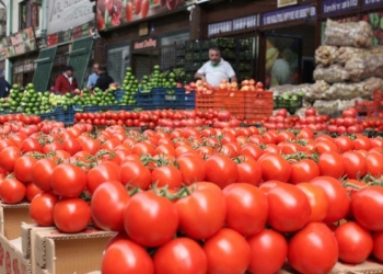 Ankara'da fahiş fiyat denetimi