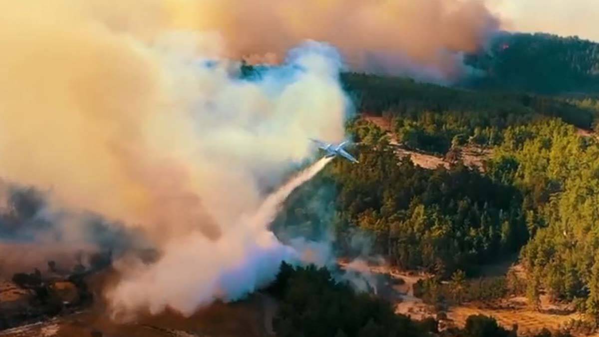 Orman Yangınları Çalıştayı düzenlenecek