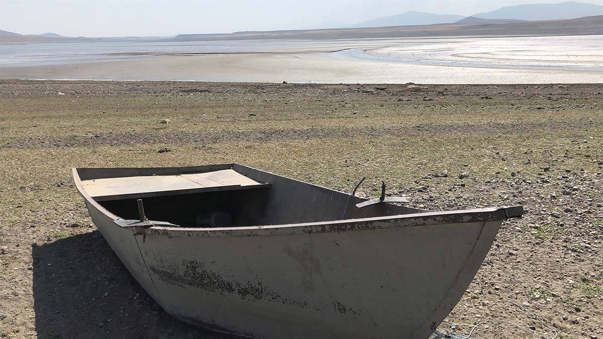 Arpaçay Barajı'nda su çekilince balıklar kıyıya vurdu