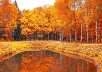 Hoş geldin sonbahar