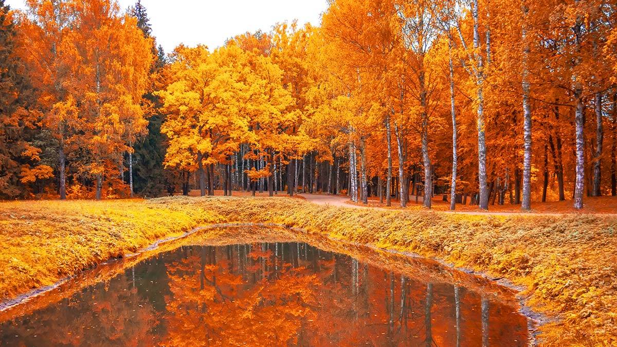 Hoş geldin sonbahar