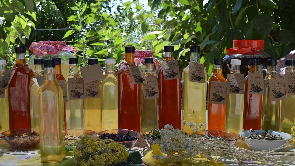 Geleneksel yöntemle 40 çeşit sirke yapıyor