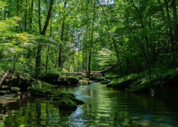 Solomon adalarında macera