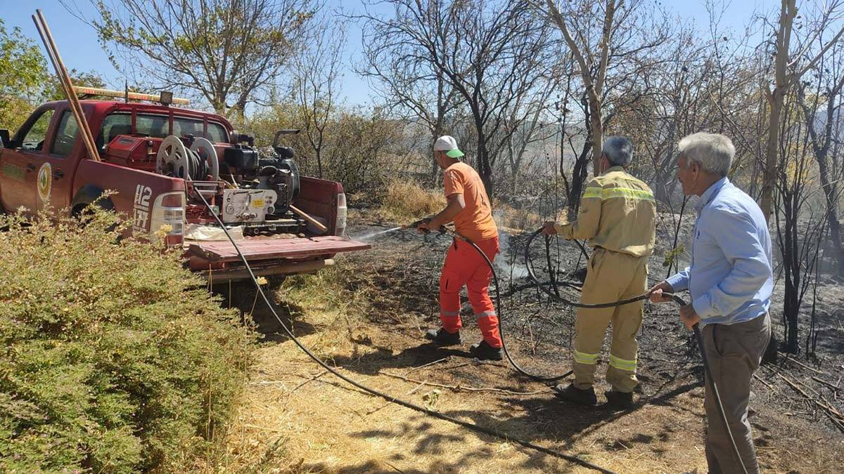 Bingöl'de ağaçlık alanda yangın