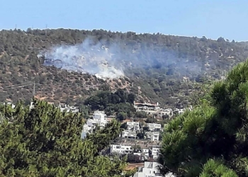 Bodrum'da makilik yangını
