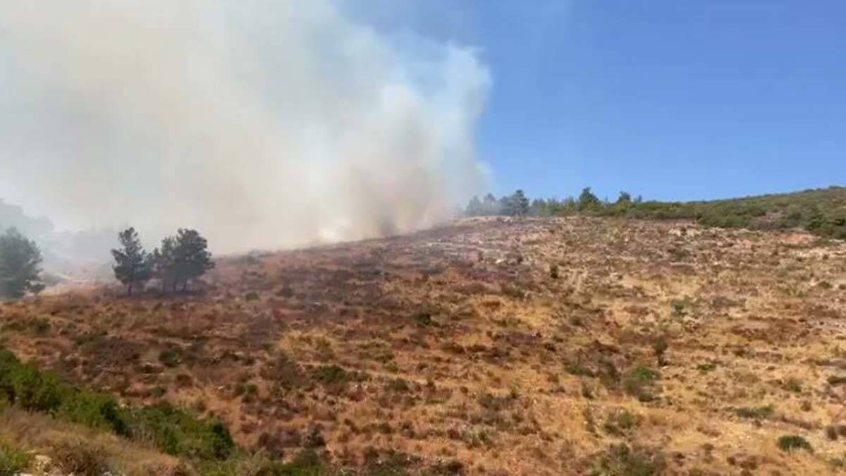 Bodrum ve Milas'ta orman yangını