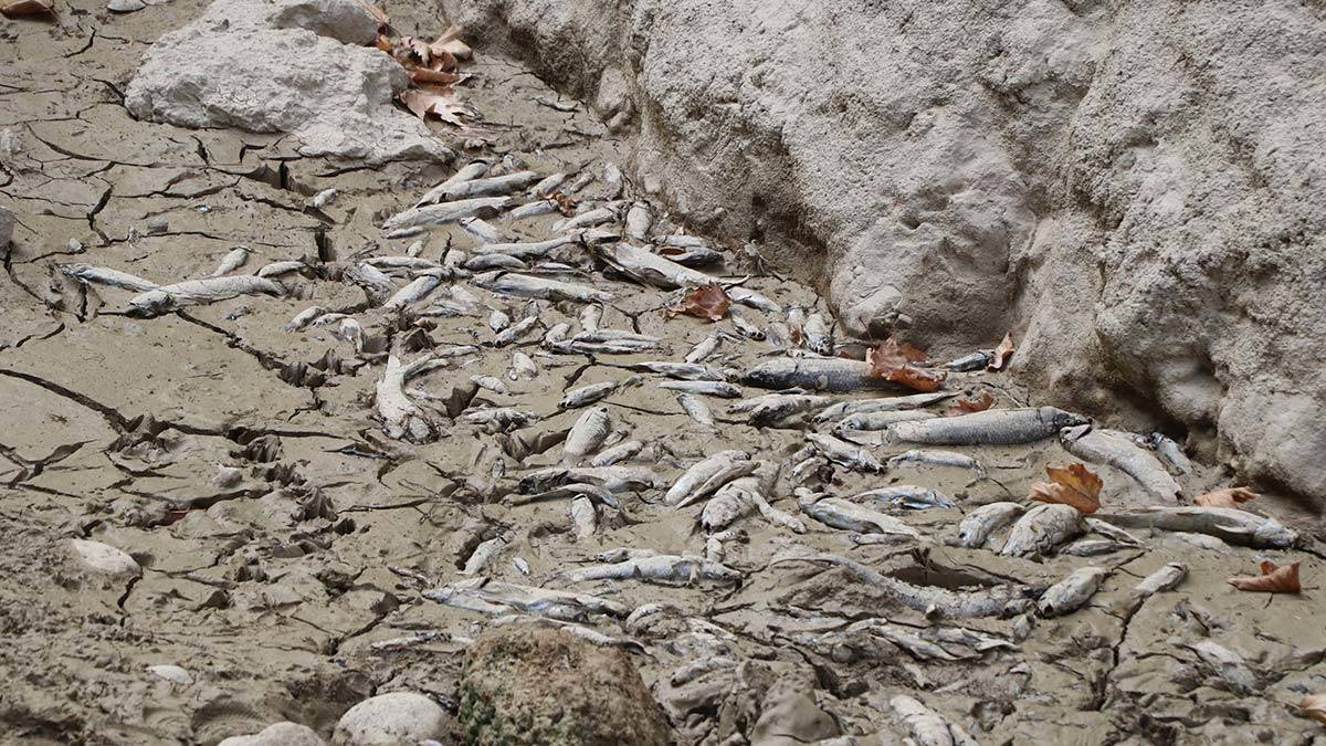 Çal Kanyonu ilk kez kurudu