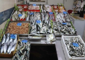 Av sezonu açıldı, sardalyanın kilosu 35 liraya düştü