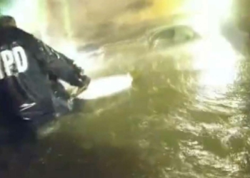 Central Park'ta, selde mahsur kalanlar kurtarıldı