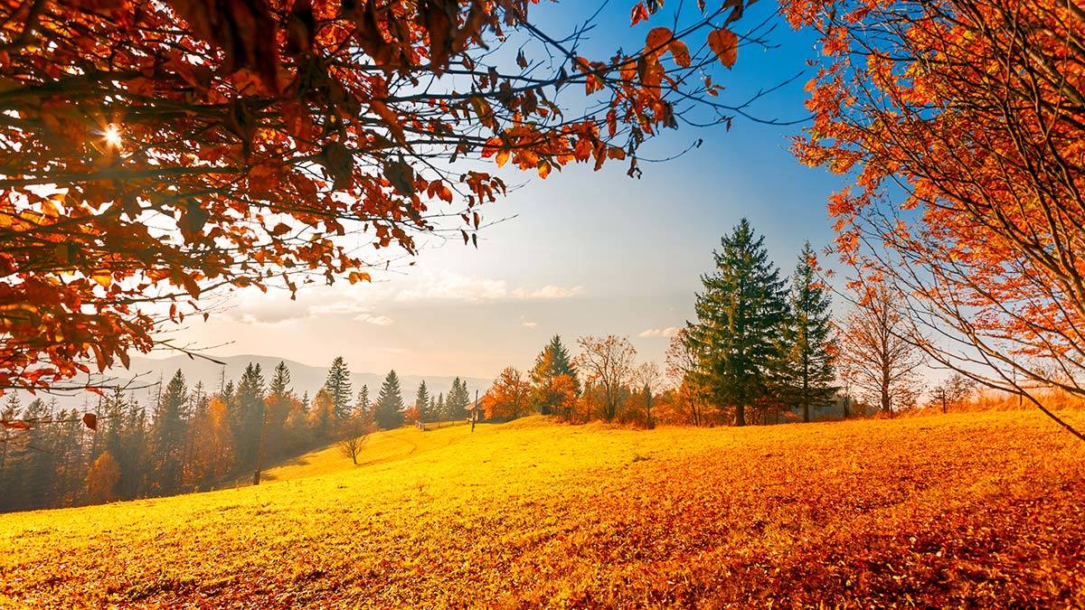 Eylül insanın ruhunu temizlemeye başladığı aydır