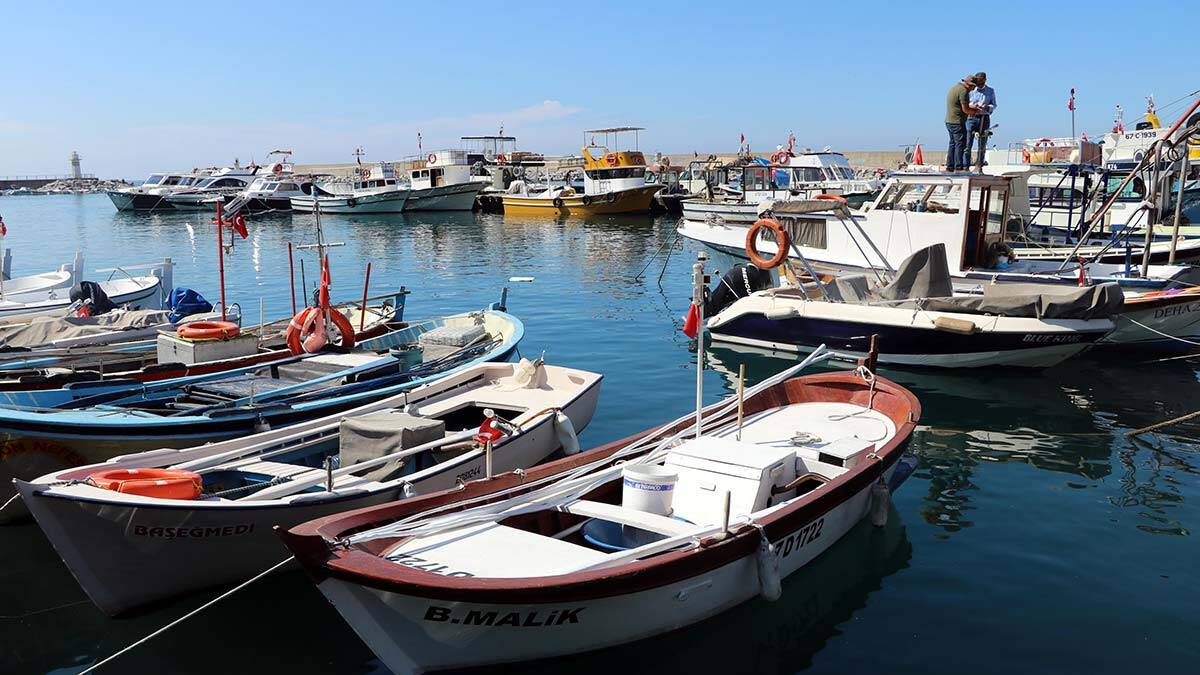 Deniz suyu soğudu, balık avı durdu