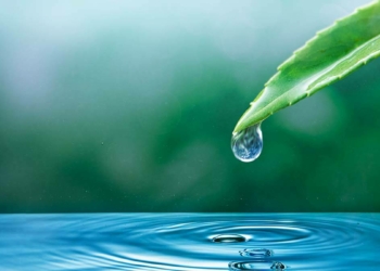 Su hayattır su israfını önle