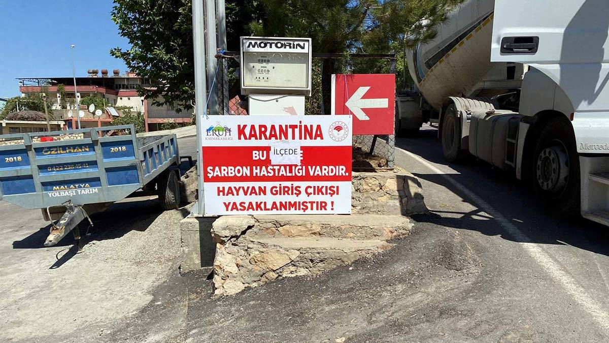 Eruh'ta bir hayvanda şarbon görüldü