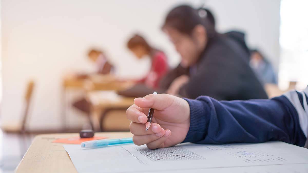 Üniversite sınavı nedir?