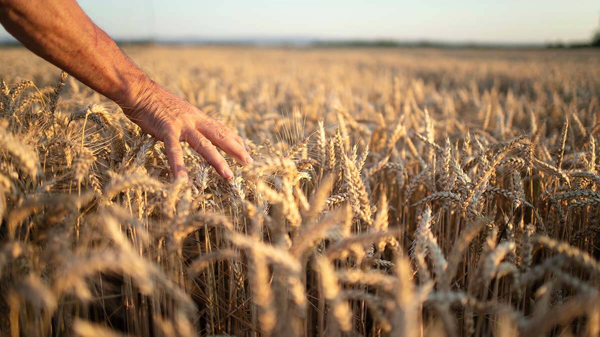 Çiftçi borçları artık koşmuyor, uçuyor