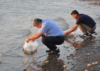 Baraja 40 bin aynalı sazan yavrusu bırakıldı