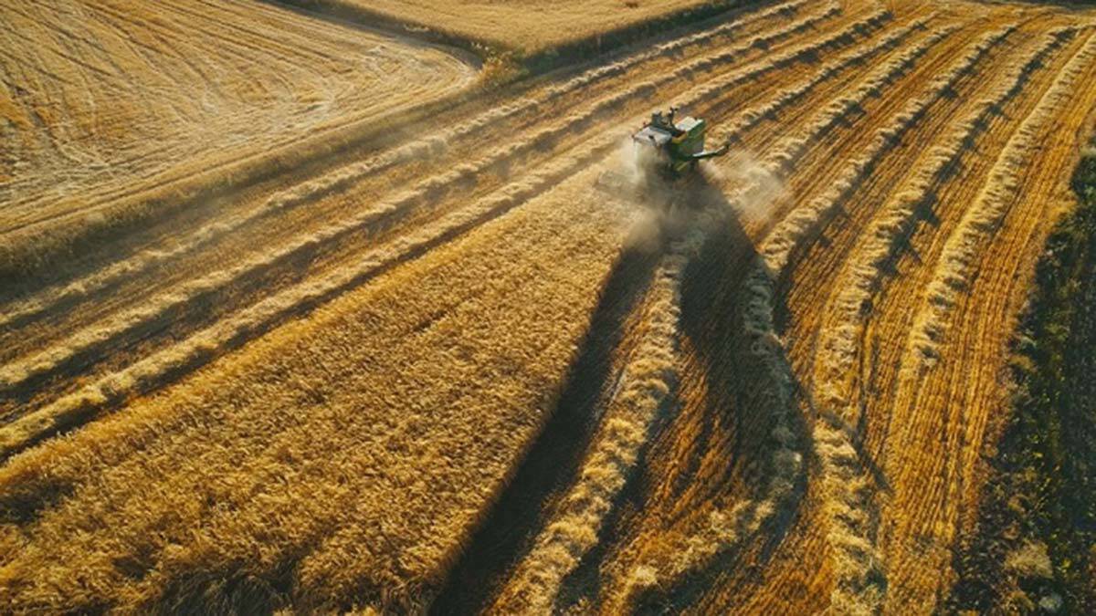 Gıda israfına belgeselle dikkat çekildi