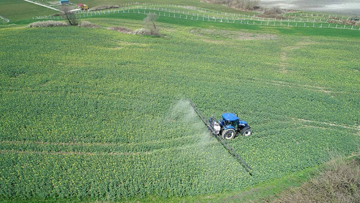 Gıda israfına belgeselle dikkat çekildi; her yıl 931 milyon ton gıda israf ediliyor.