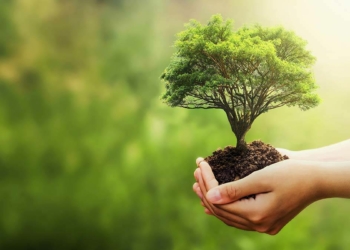 Günümüzün başlıca sorunları?